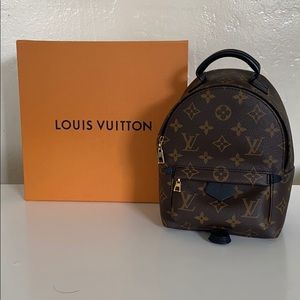 Louis Vuitton Palm Springs Mini Backpack